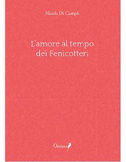 cover libro