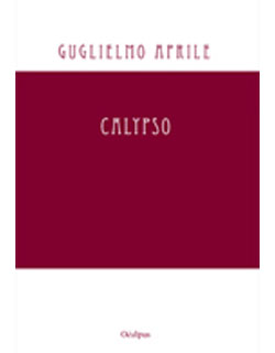 cover libro