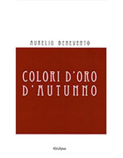 cover libro