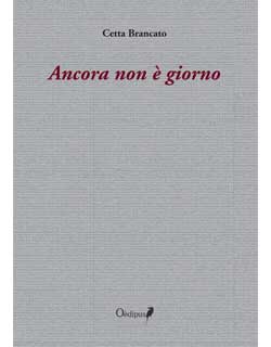 cover libro