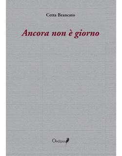 cover libro