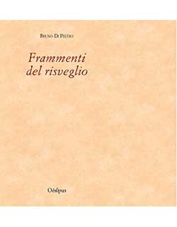 cover libro