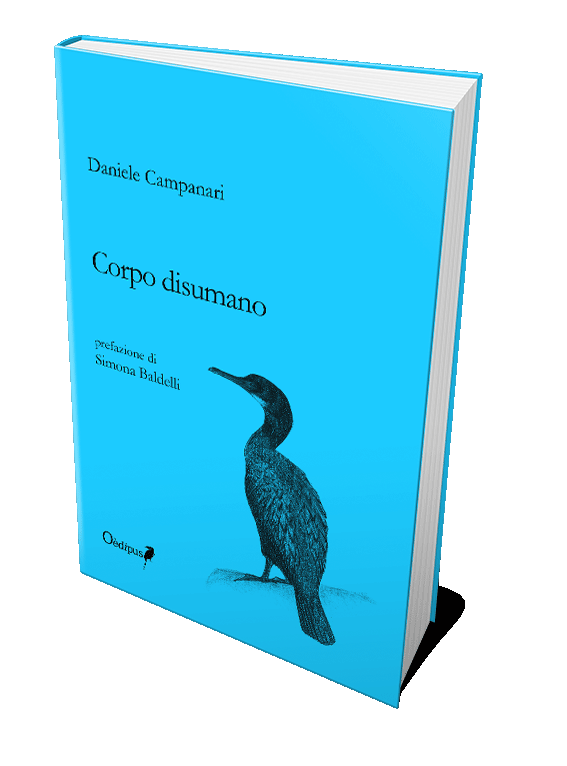 cover 1