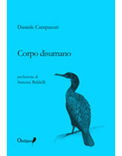 cover libro