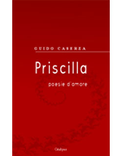 cover libro