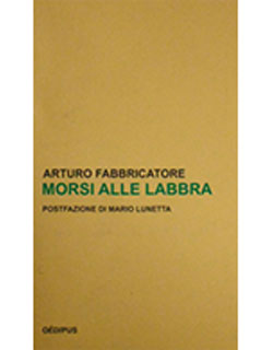 cover libro