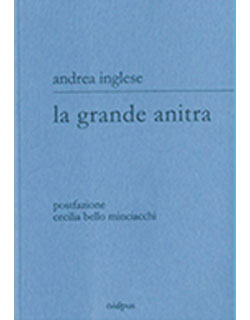 cover libro