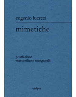 cover libro