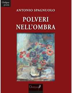 cover libro