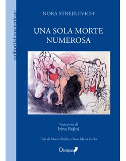 cover libro